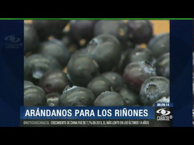 batido de arandanos propiedades