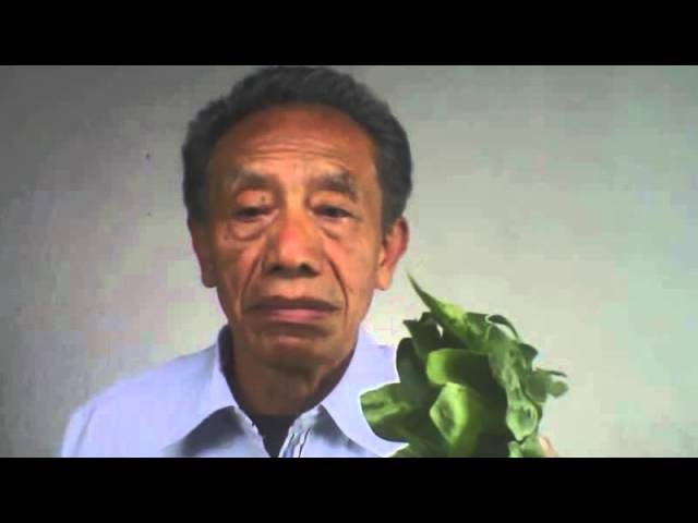 batido de espinacas pepino y zanahoria