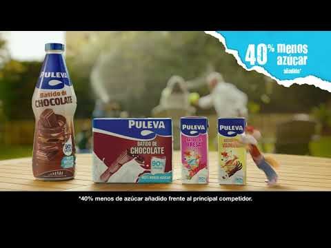 Receta fácil de batido de Puleva: saludable y delicioso