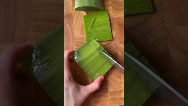batido de aloe vera para el cancer