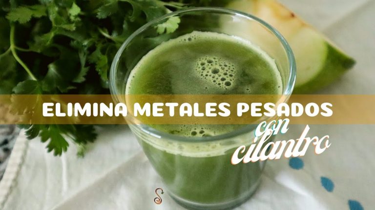 batido de cilantro