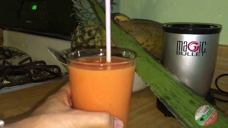 batido de papaya y sabila