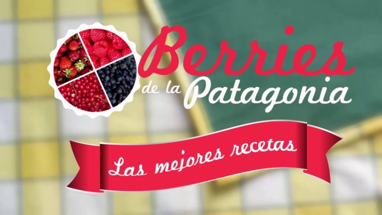 batido de zarzaparrilla