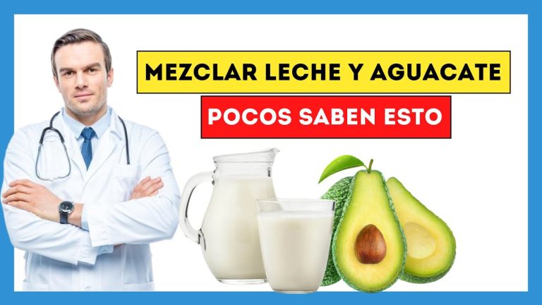 Delicioso batido de aguacate con leche y azúcar: receta fácil y nutritiva