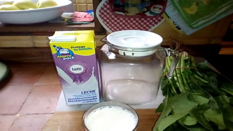 Receta fácil de batido de espinacas y leche para una alimentación saludable