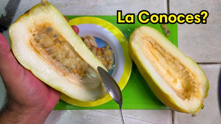 batido de granadilla